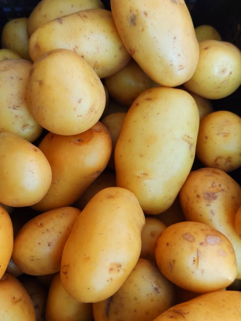 Cenoura Fresca (kg)