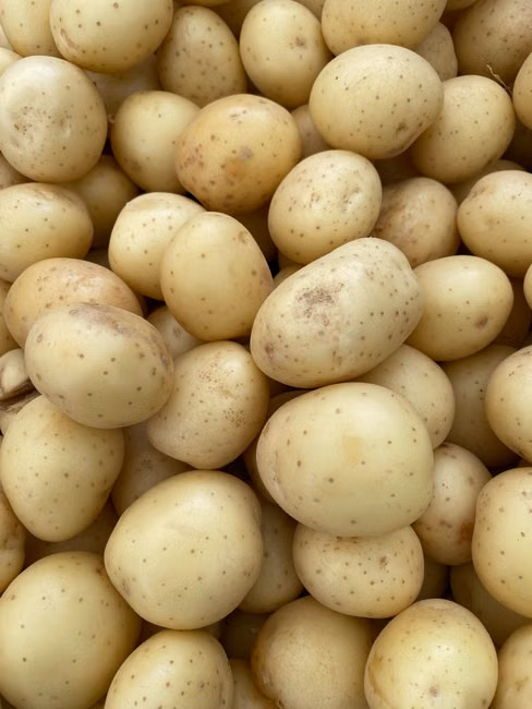 Açougue