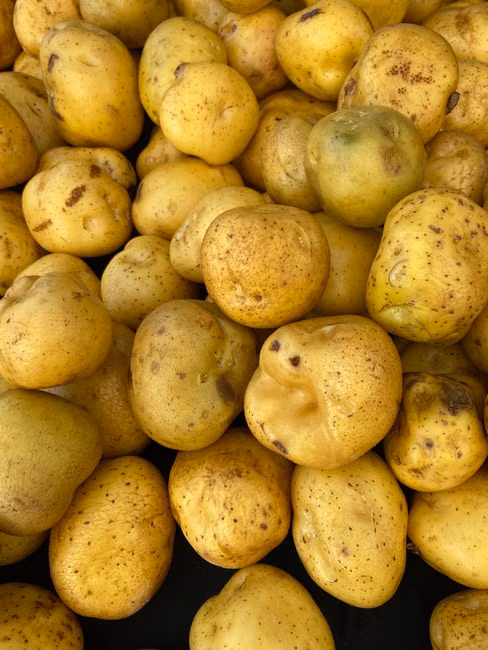 Padaria
